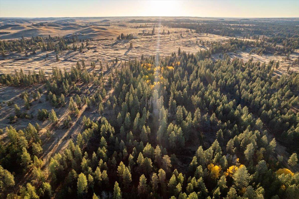 TBD Lorna Ln #Lot I, Cheney, WA 99002