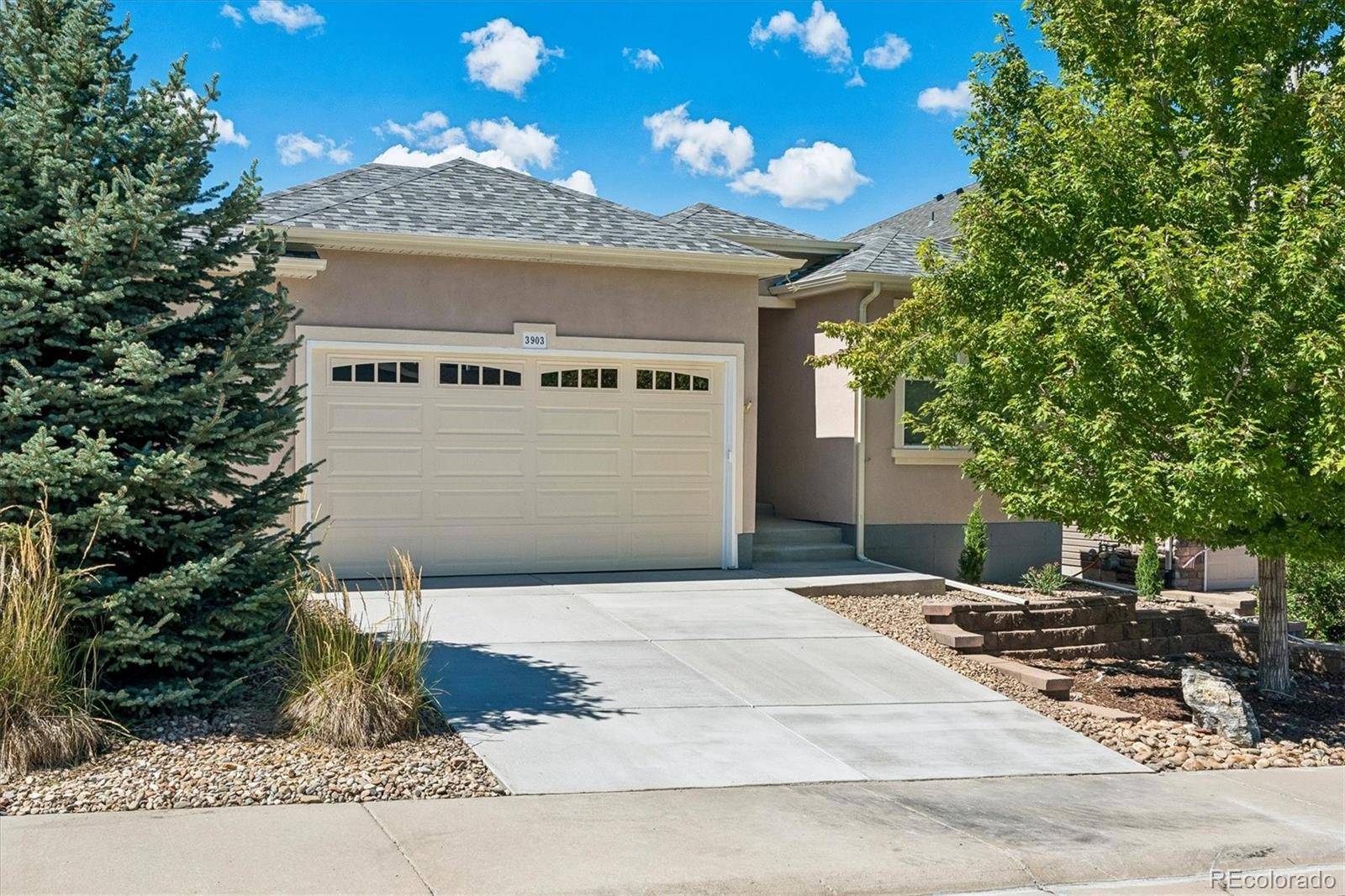 3903 Starry Night LOOP, Castle Rock, CO 80109