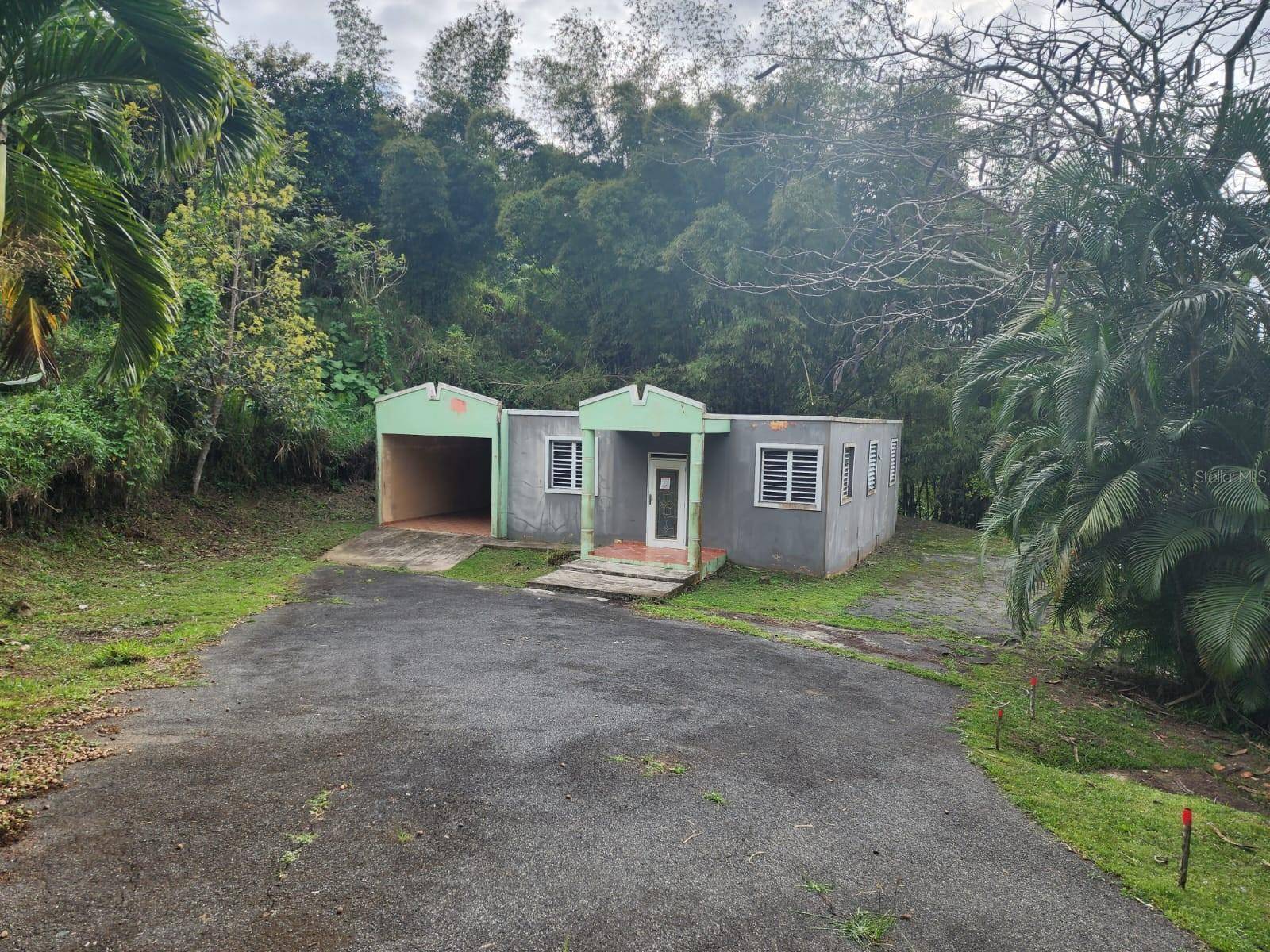Bambu St. BO. RABANAL ##6, Cidra, PR 00739