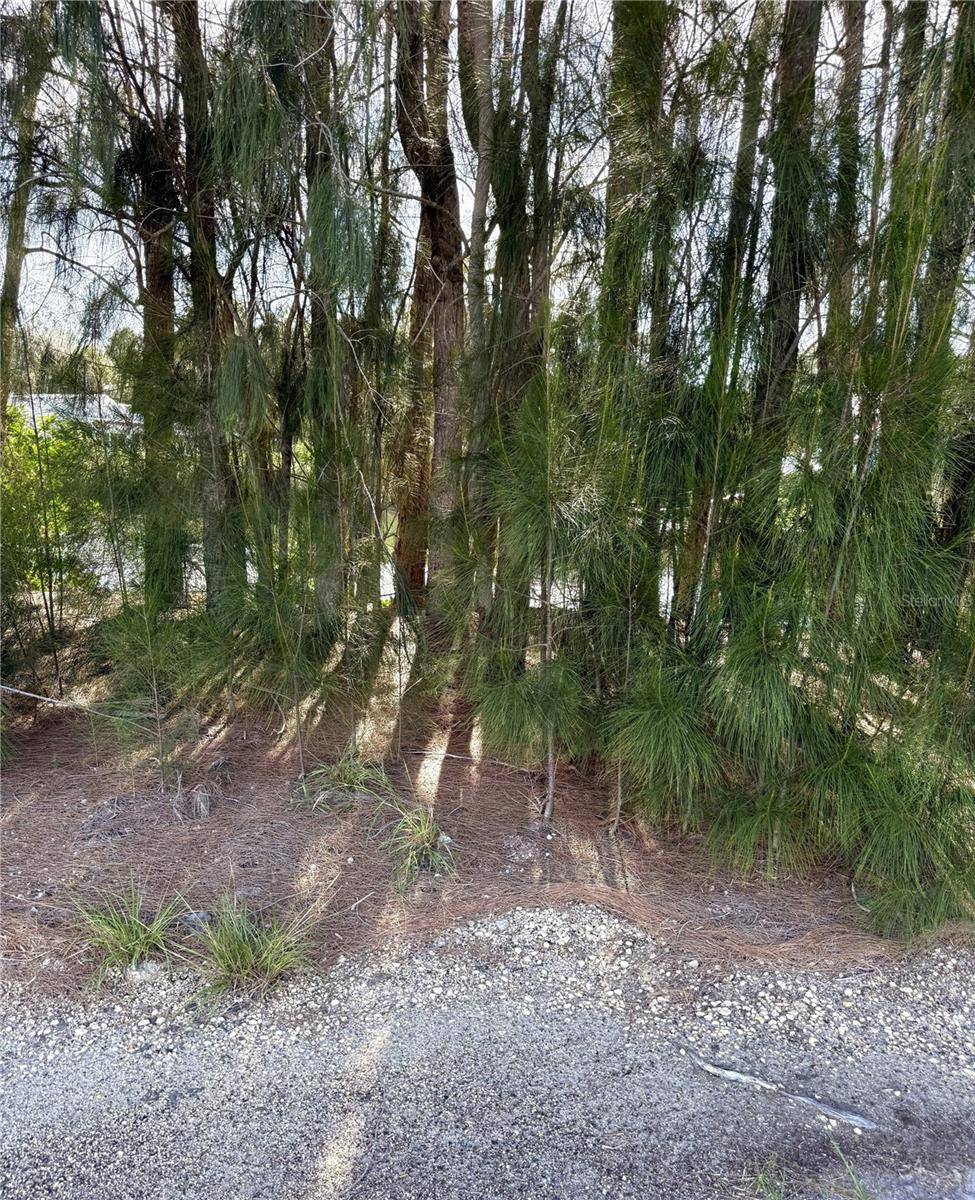 0 JILLS LANE, Aripeka, FL 34679
