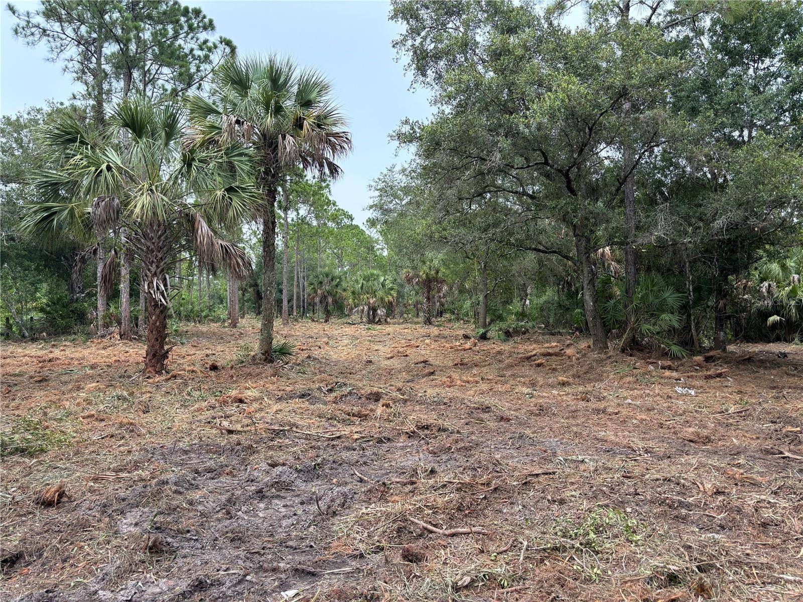 701 TAMPA AVE, Clewiston, FL 33440
