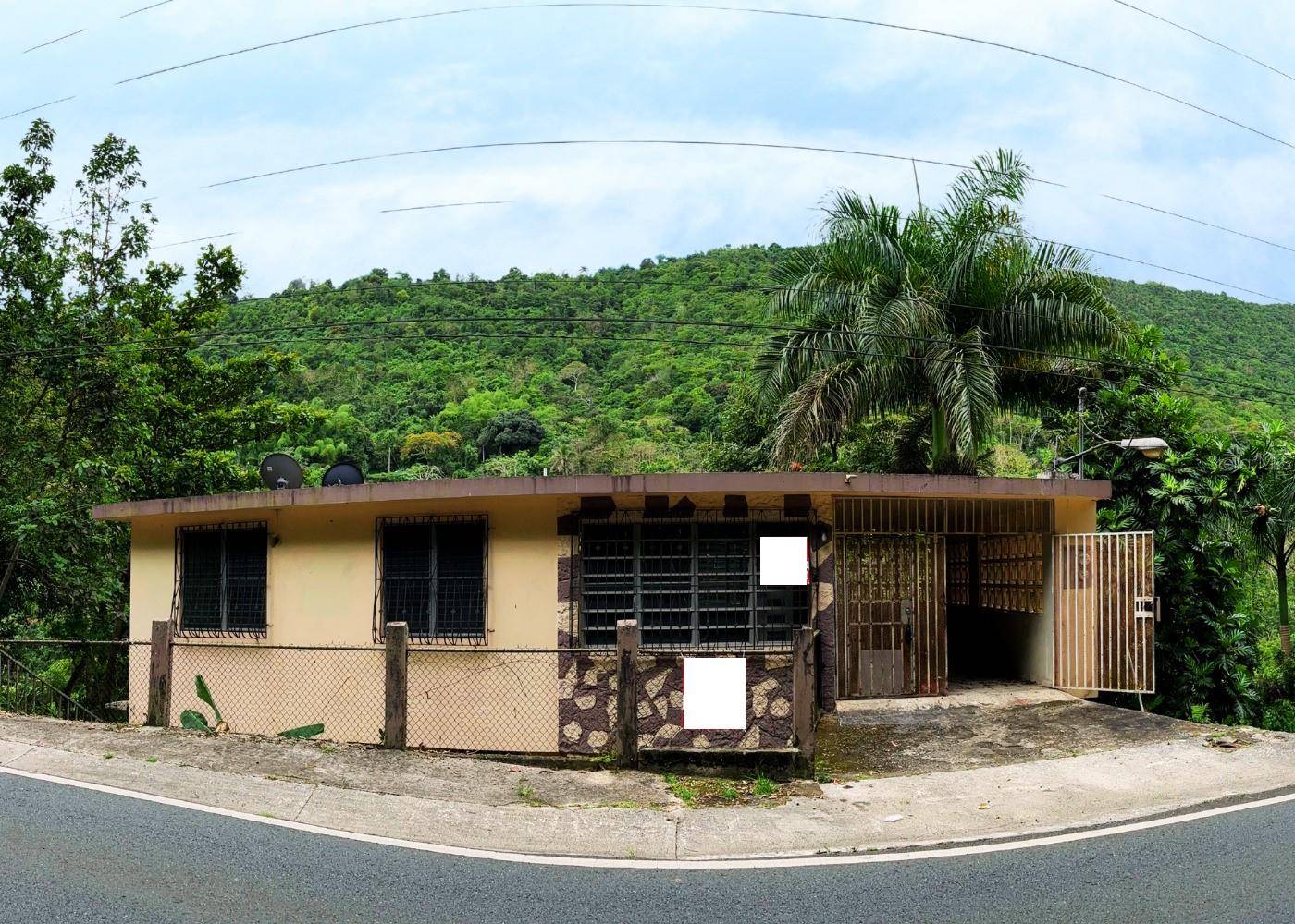 173 CARR SR, Aibonito, PR 00705