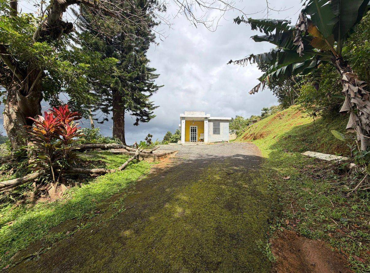 780 St. Km.0.9 BO PALOMAS, Comerio, PR 00782