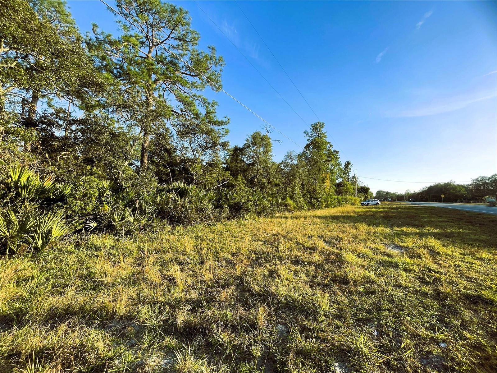 0 SR-19, Altoona, FL 32702