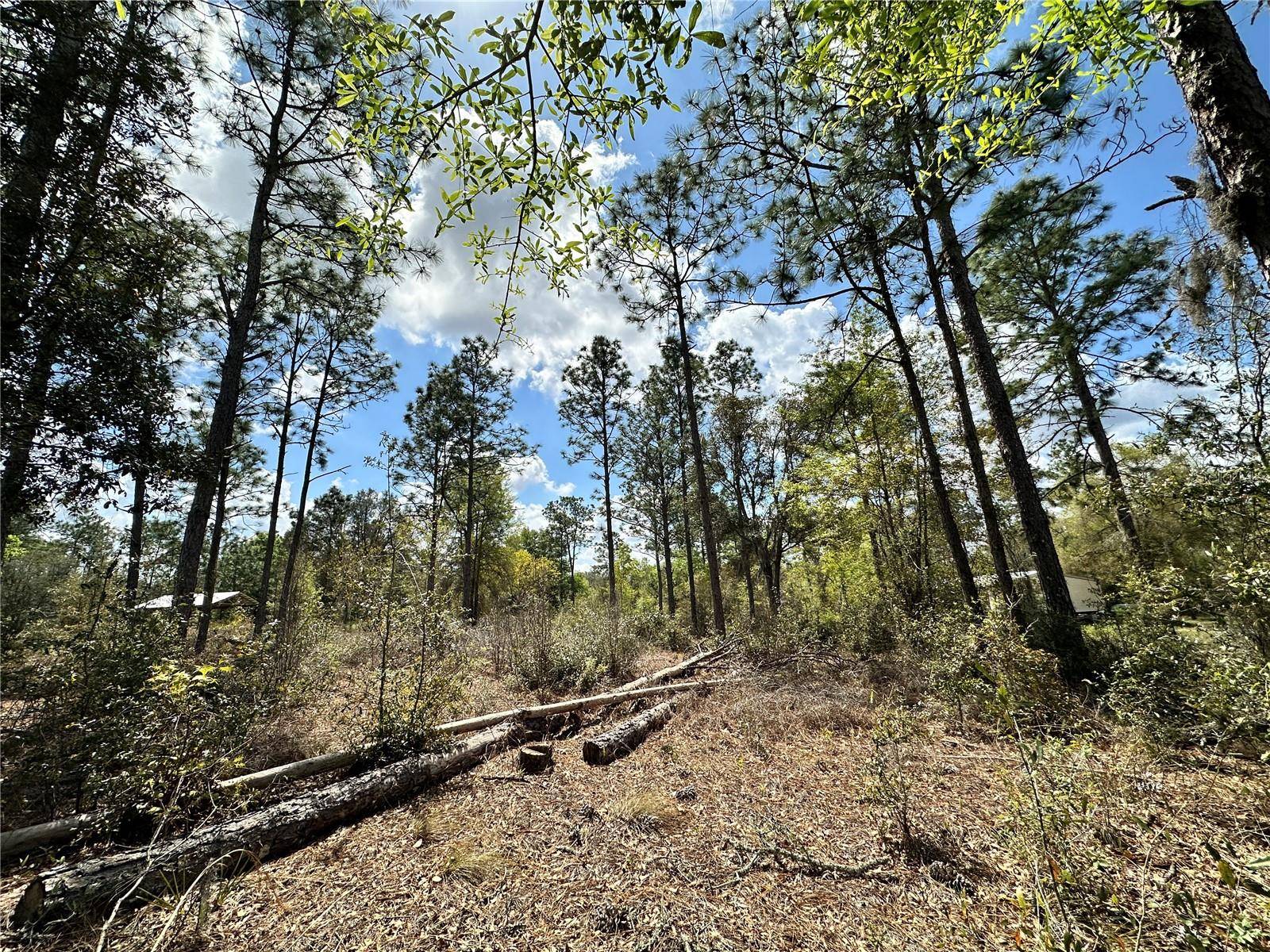 Address not disclosed, Bronson, FL 32621