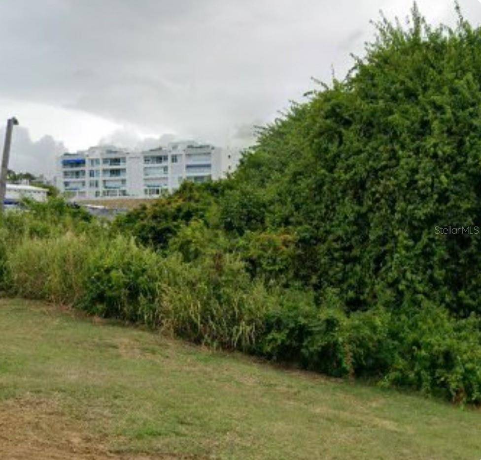 LOT 1 CALLE ROBLES BARRIO LAS CABEZAS, Fajardo, PR 00738