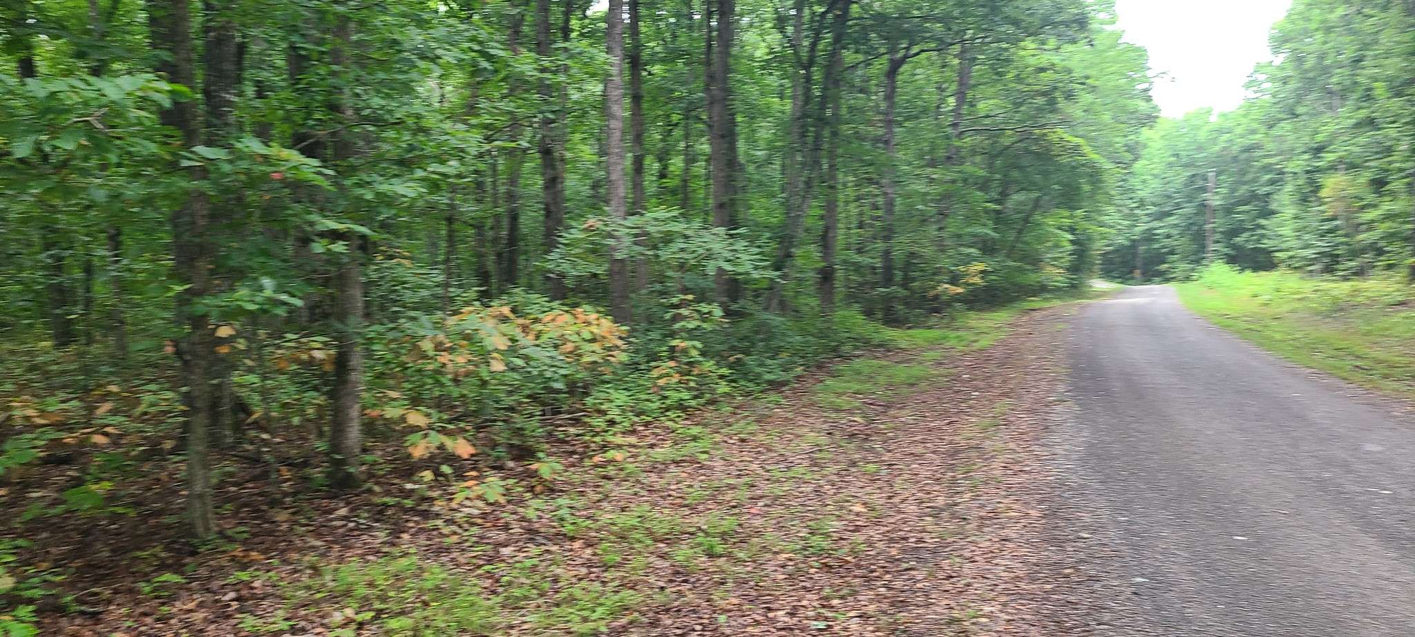 0 Deer Run Road, Altamont, TN 37301
