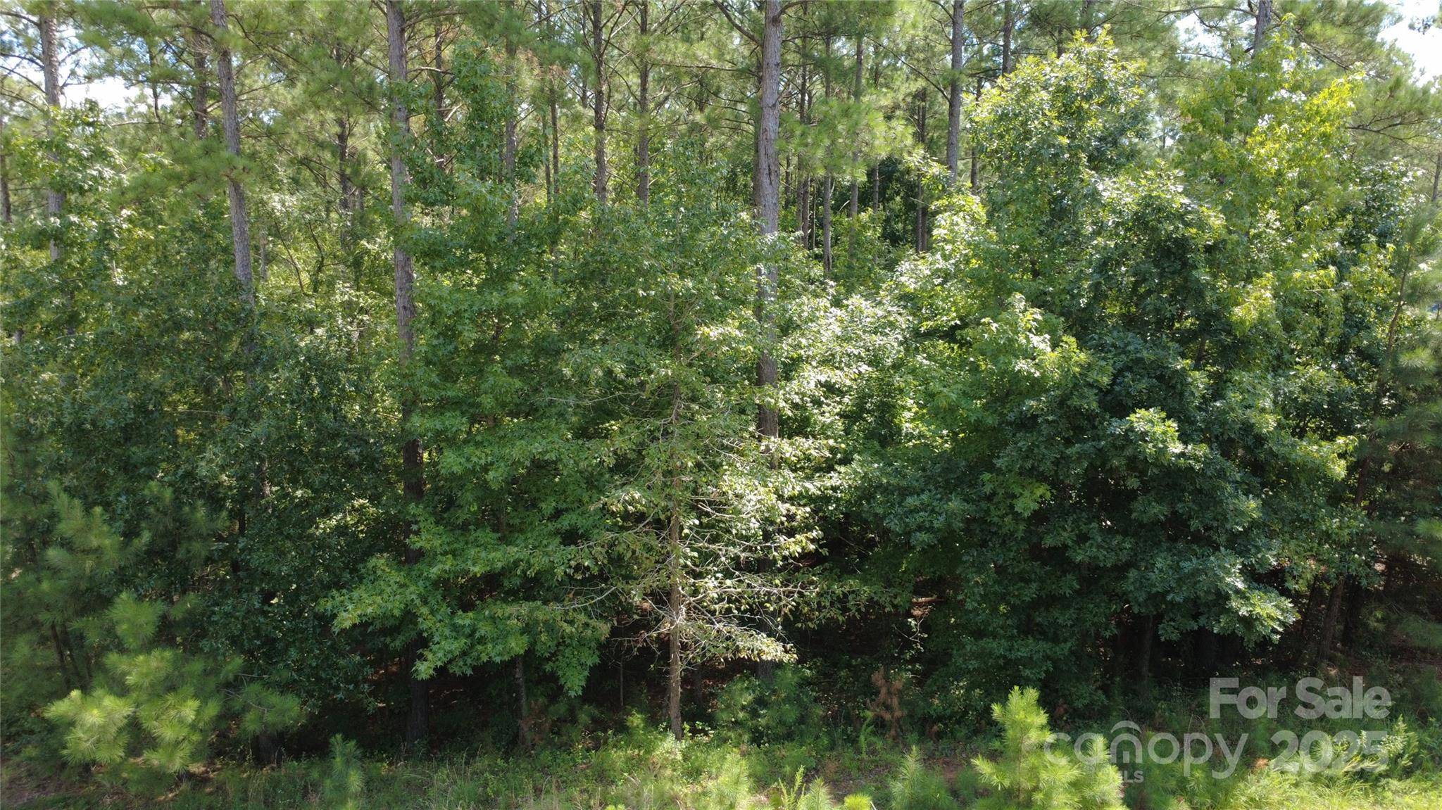 4155 Persimmon RD, Lancaster, SC 29720