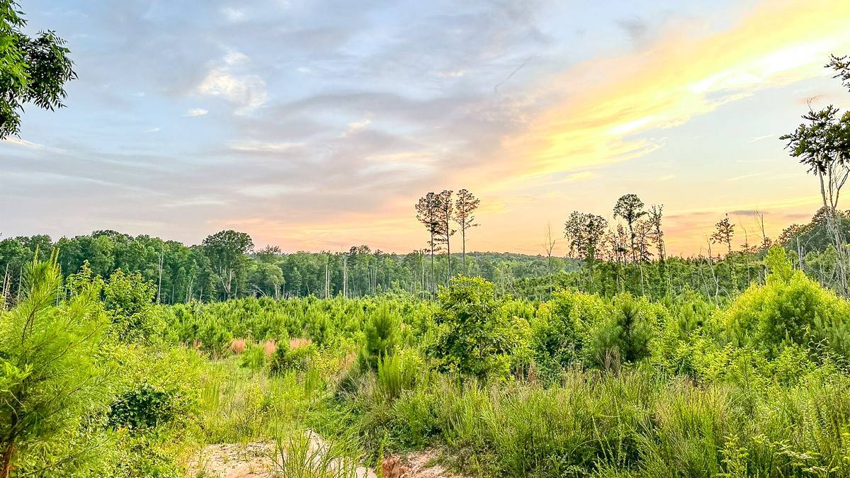 0 Sipes Way, Bolivar, TN 38008