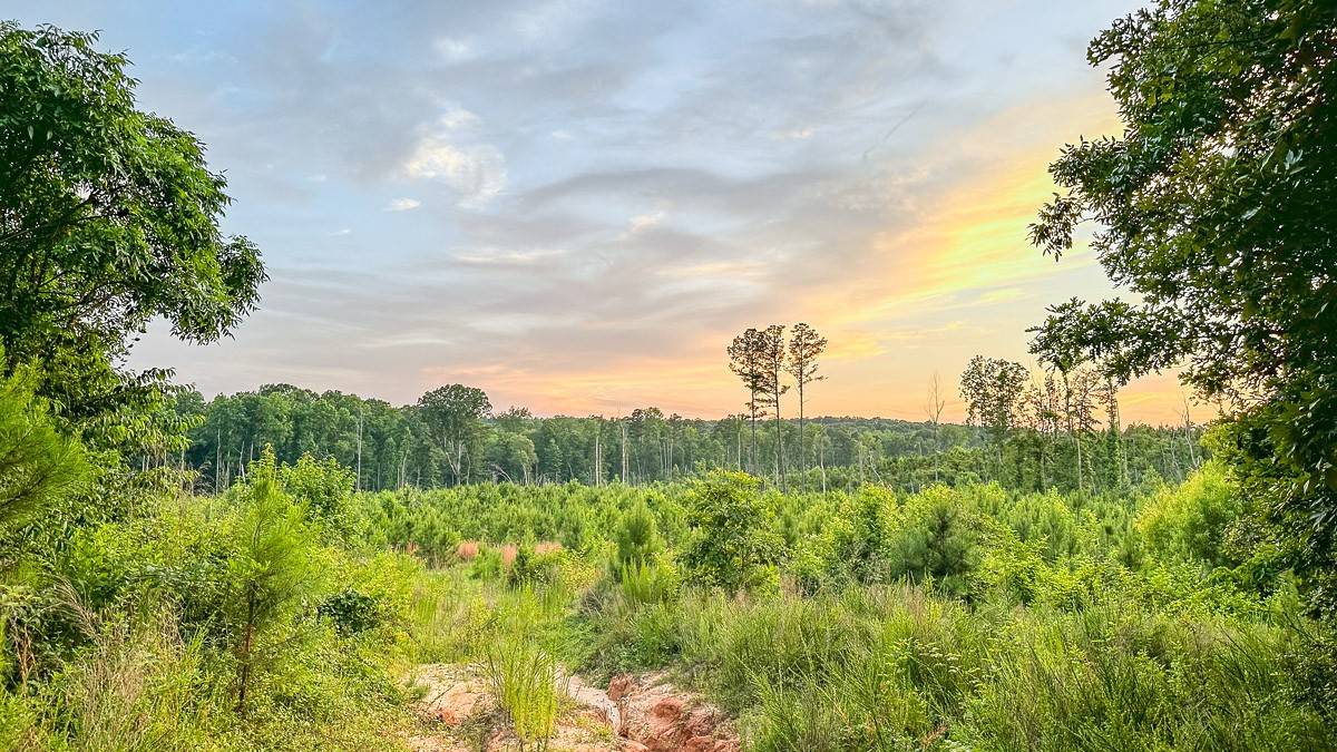 0 Sipes Way, Bolivar, TN 38008
