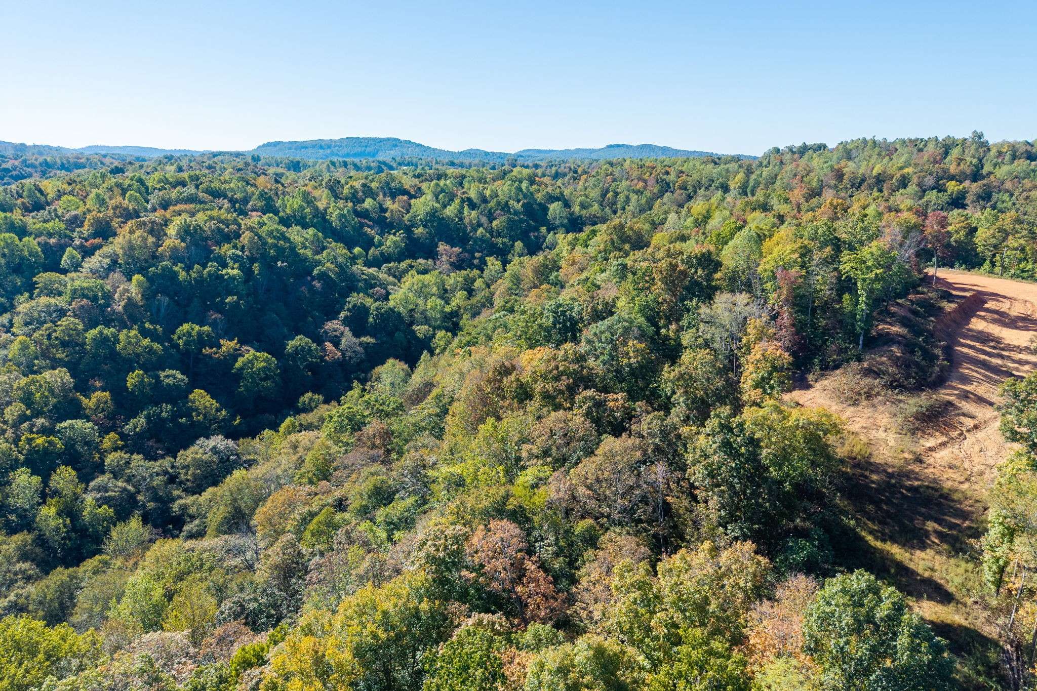 408 Massingille Lane, Allons, TN 38541