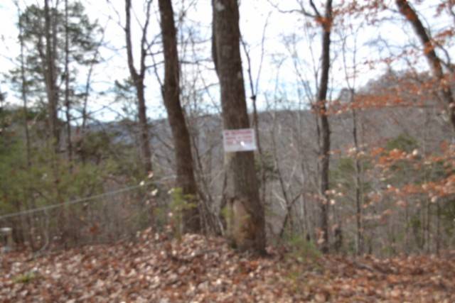 0 Frogue Rd, Burkesville, KY 42717
