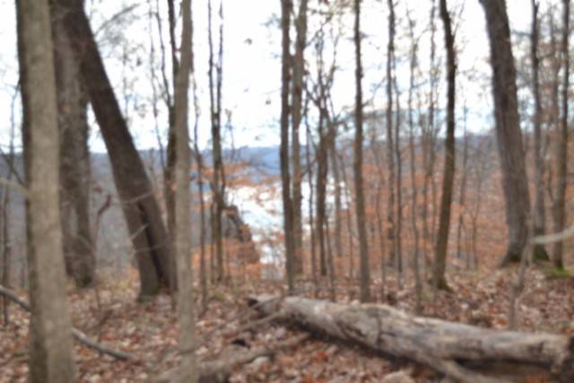 0 Frogue Rd, Burkesville, KY 42717