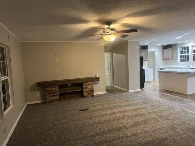 236 Wash Wilson Loop, Blue Ridge, GA 30513