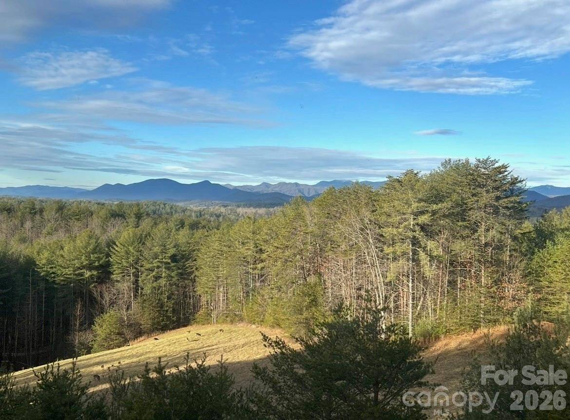 2775 Campbells TRCE, Nebo, NC 28761