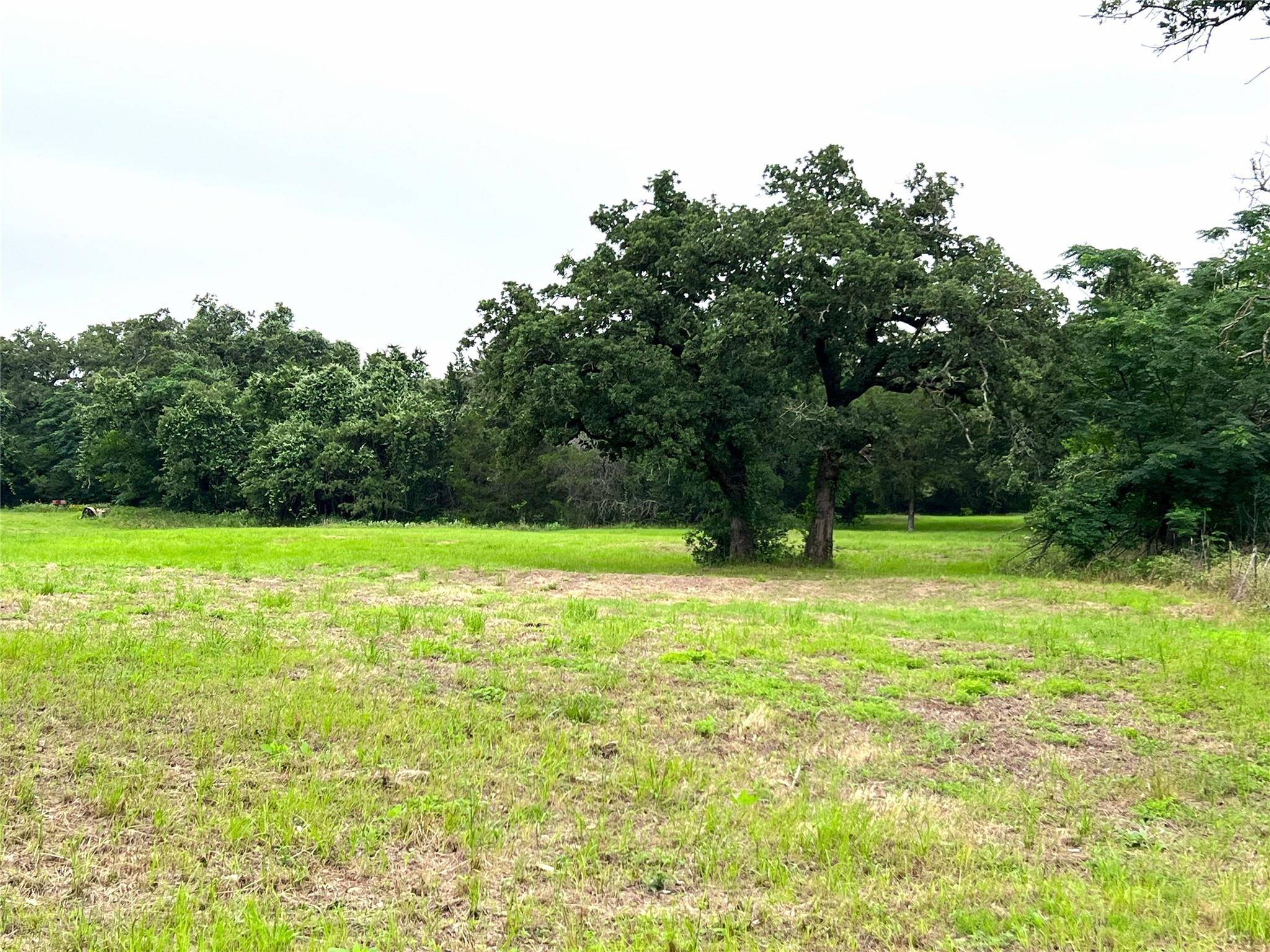 00 Rosanky Cattle Company RD, Rosanky, TX 78953