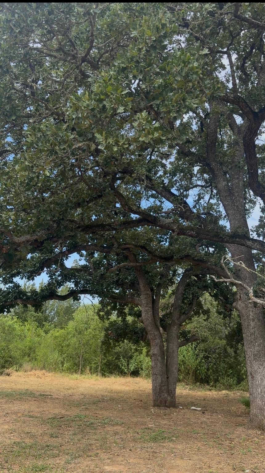176 Whispering Pines DR, Bastrop, TX 78602