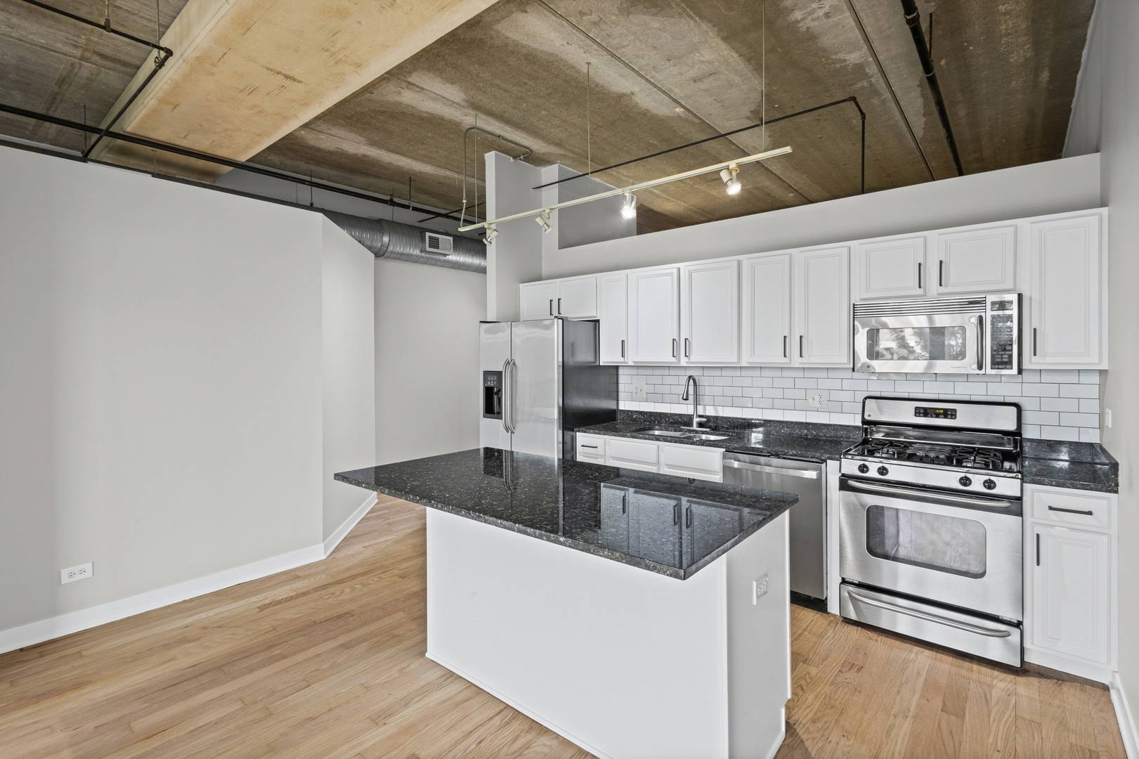 833 W 15th PL #303, Chicago, IL 60608