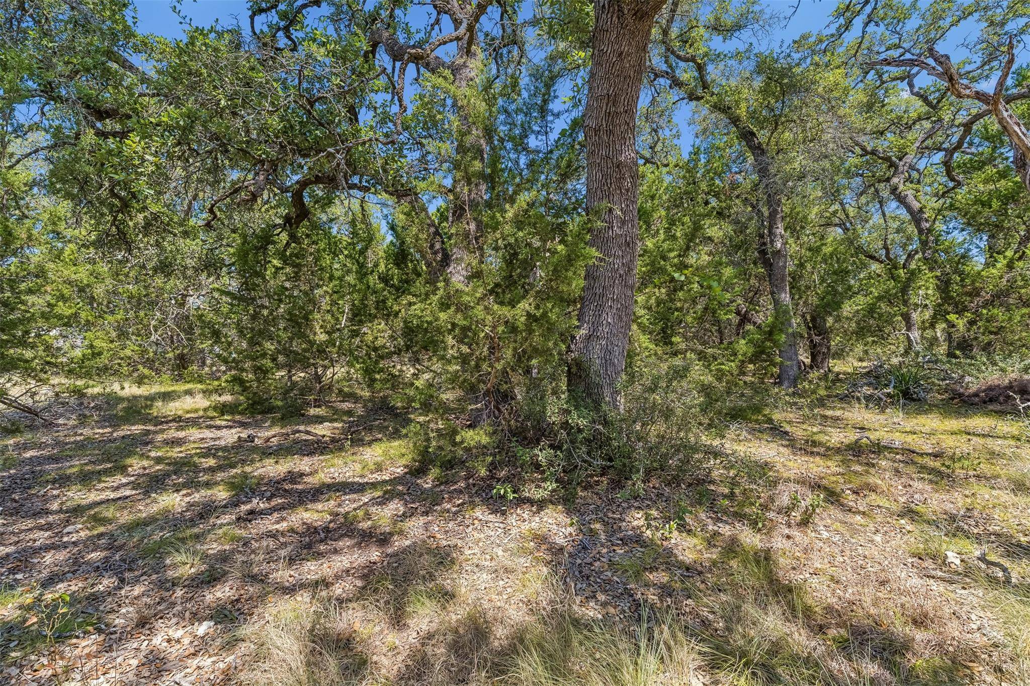 854 Maximino Ridge RD, Bulverde, TX 78163