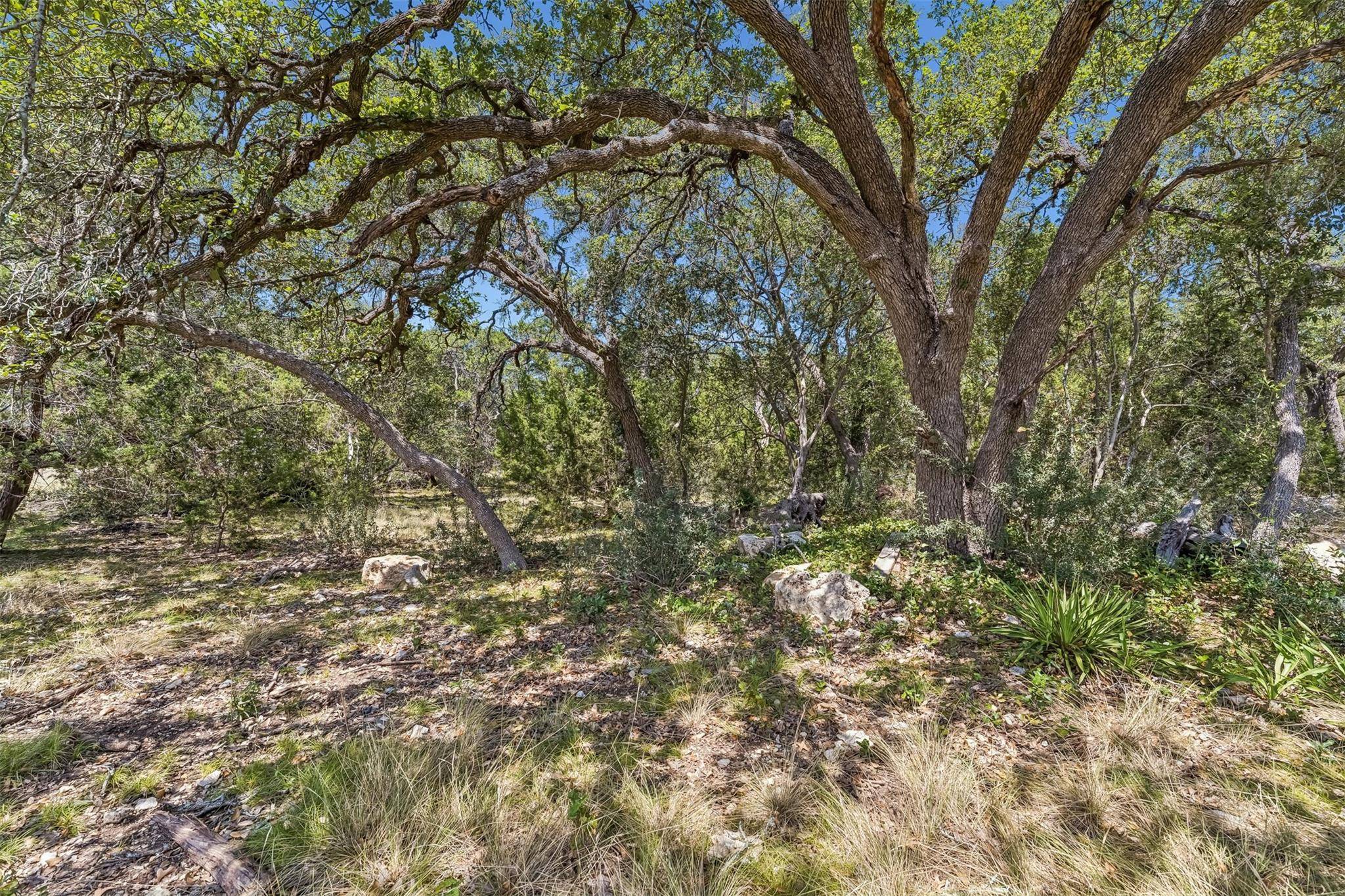 854 Maximino Ridge RD, Bulverde, TX 78163