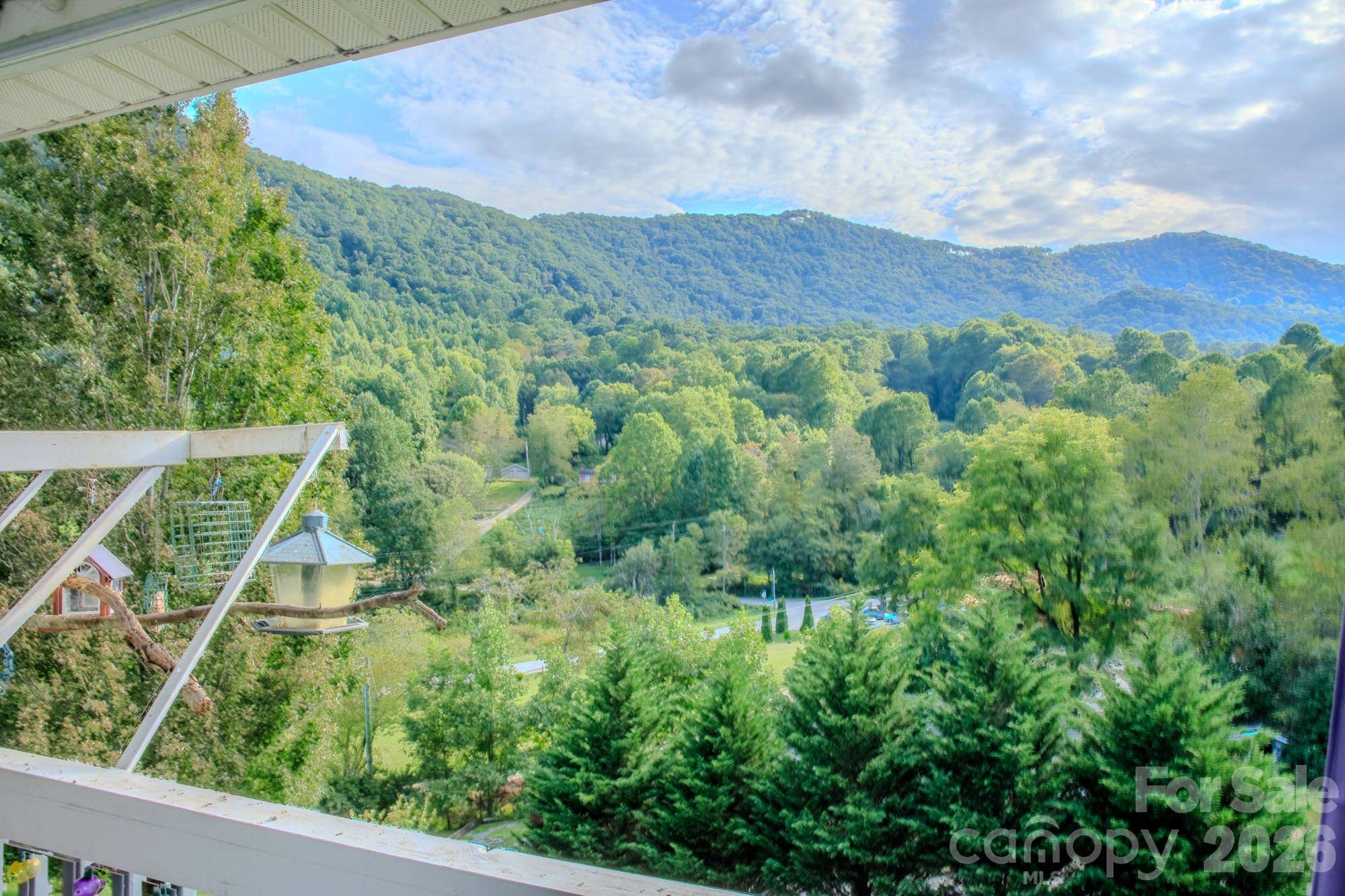 76 Patriot DR, Waynesville, NC 28786