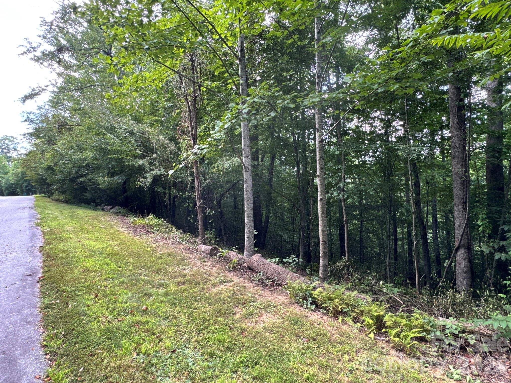 19 Garren View DR, Fairview, NC 28730