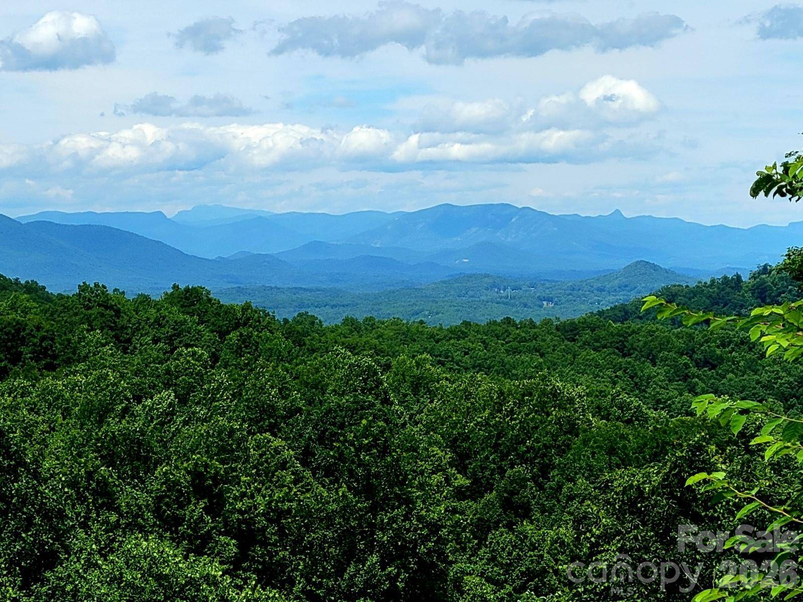 10 Camp Elliott RD, Black Mountain, NC 28711