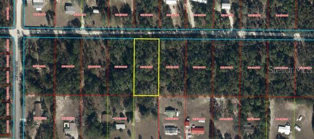 NE 74TH PL, Bronson, FL 32621