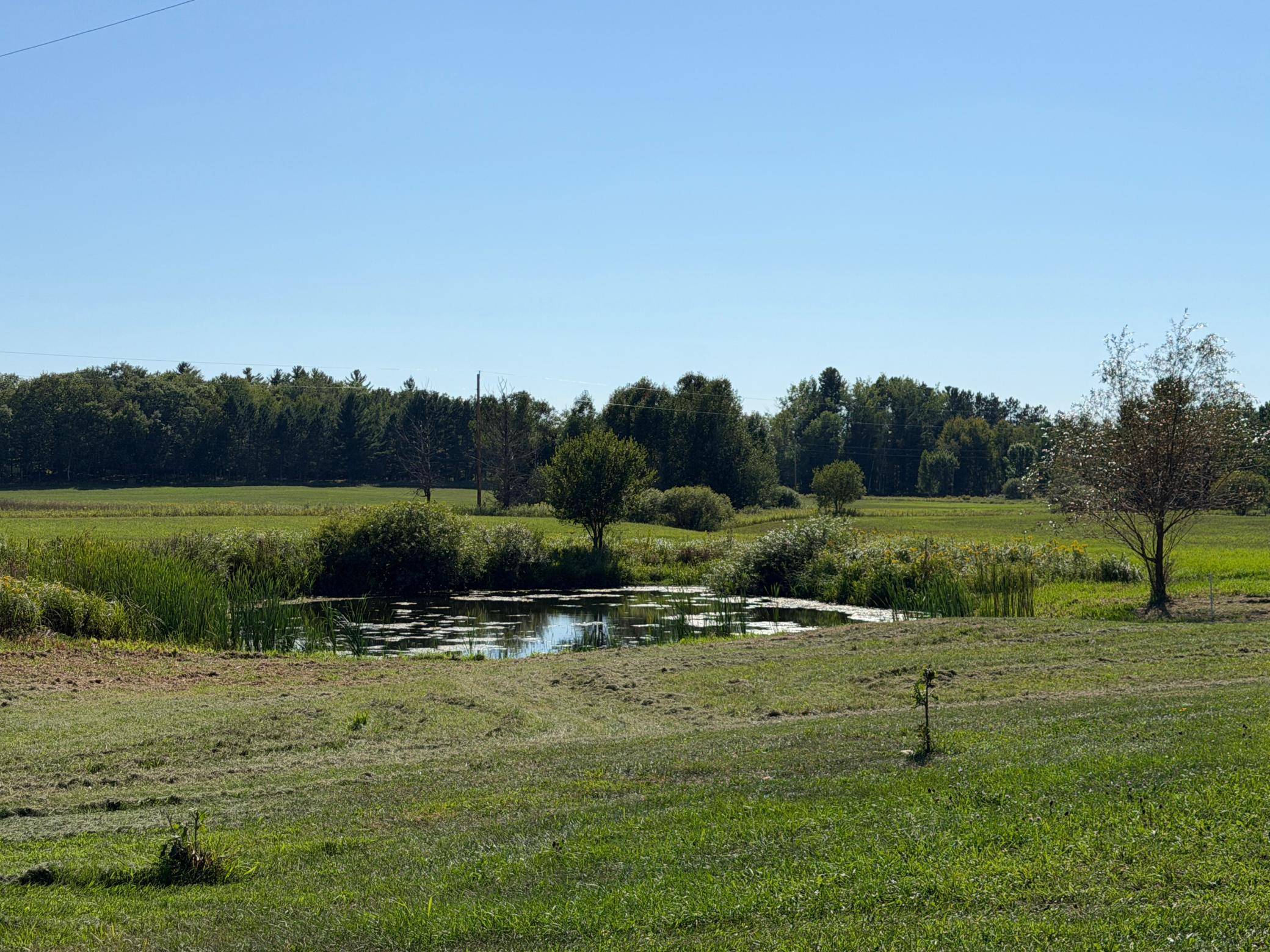 2149 Dixon Line, Finlayson, MN 55735