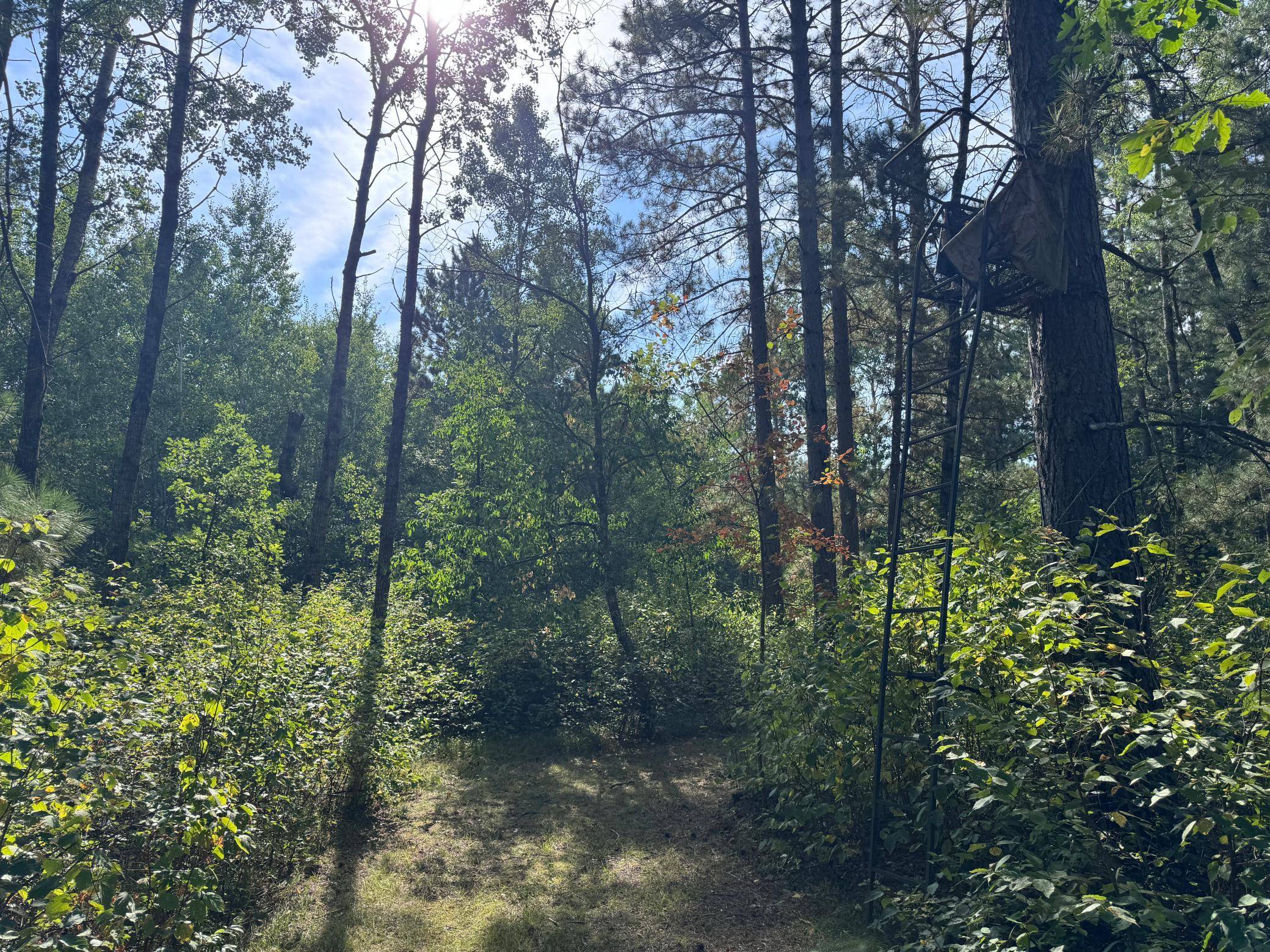 TBD 170th ST, Akeley, MN 56433