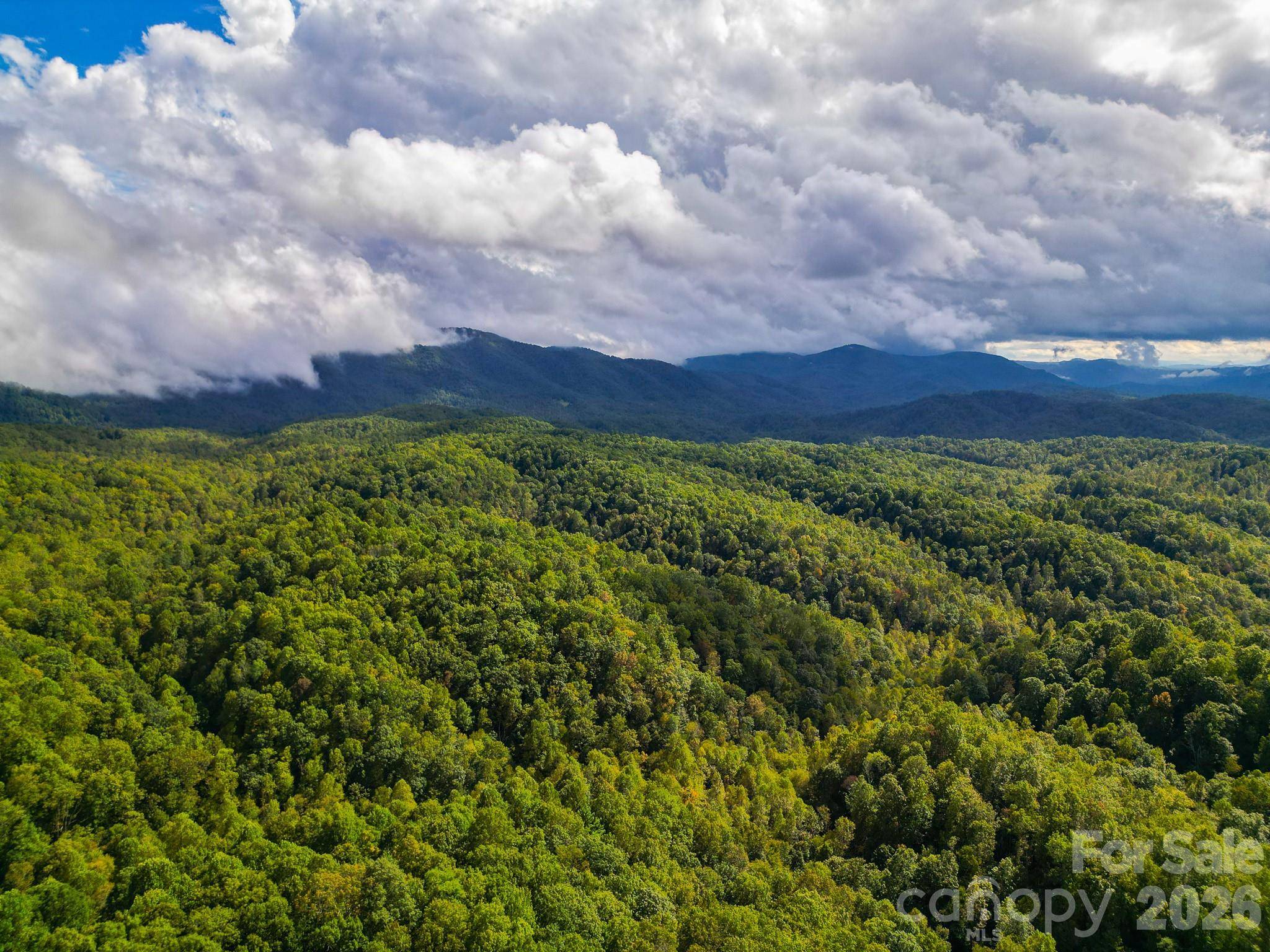 99999 Forest Brook DR, Black Mountain, NC 28711