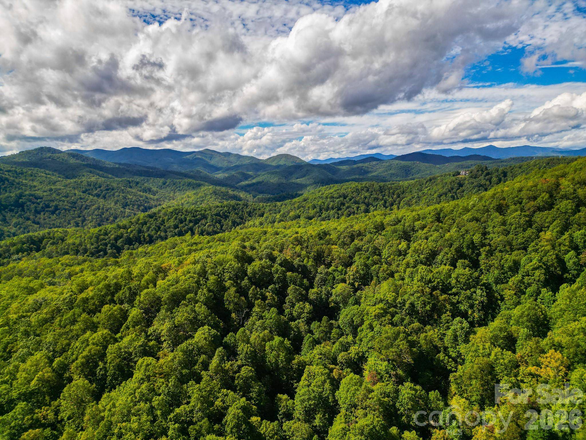 99999 Forest Brook DR, Black Mountain, NC 28711