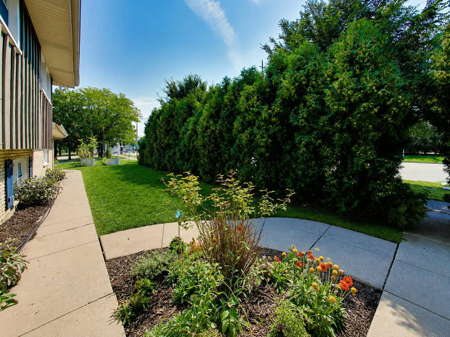 116 W Central RD, Arlington Heights, IL 60005