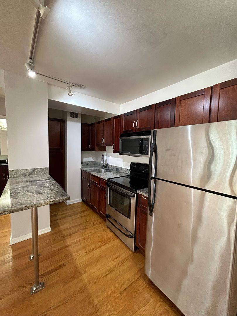 4180 N Marine DR #1501, Chicago, IL 60613