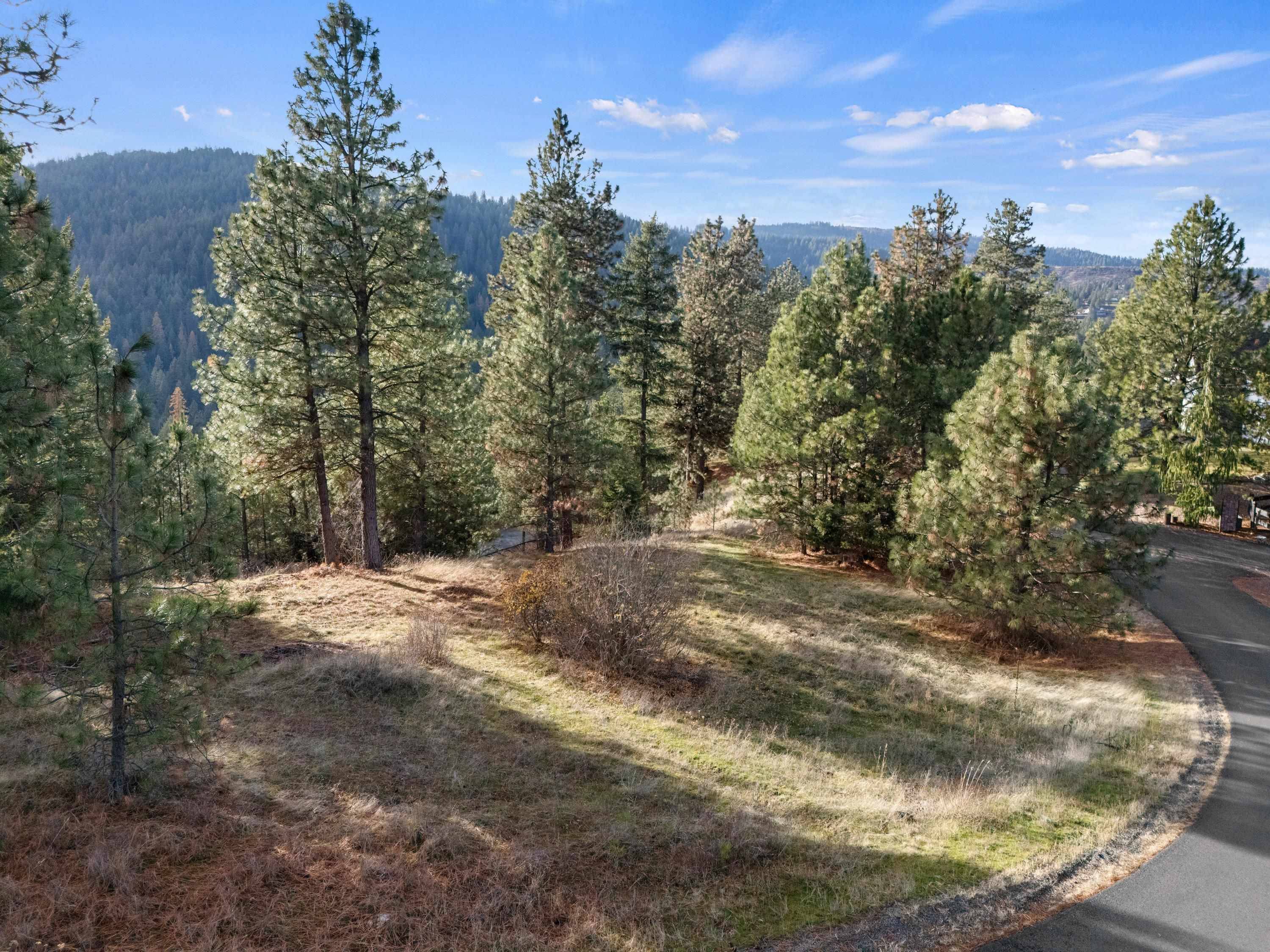 XXXX E View Ridge Ln, Spokane, WA 99206