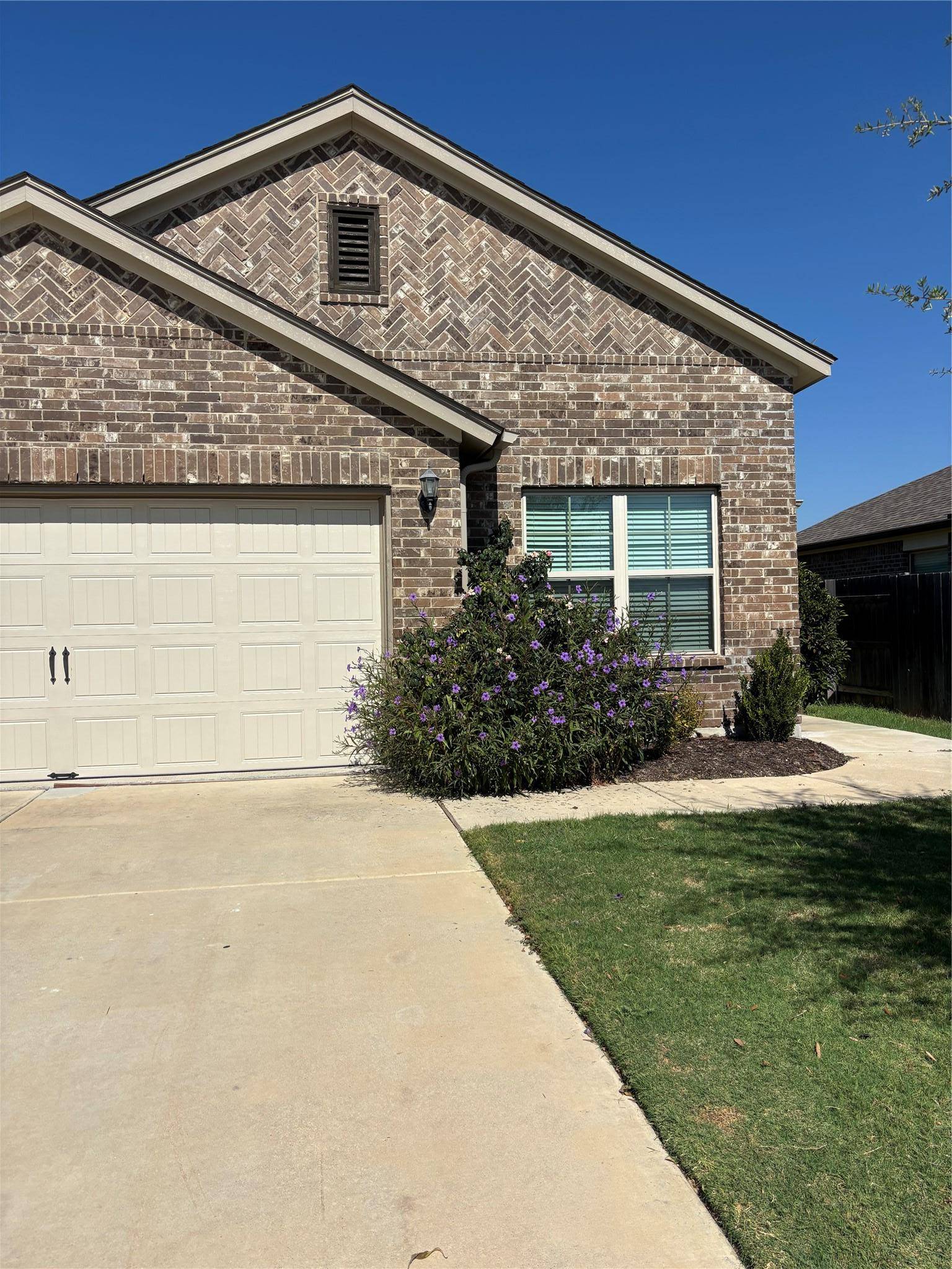 13608 Bullhorn Acacia PASS, Manor, TX 78653