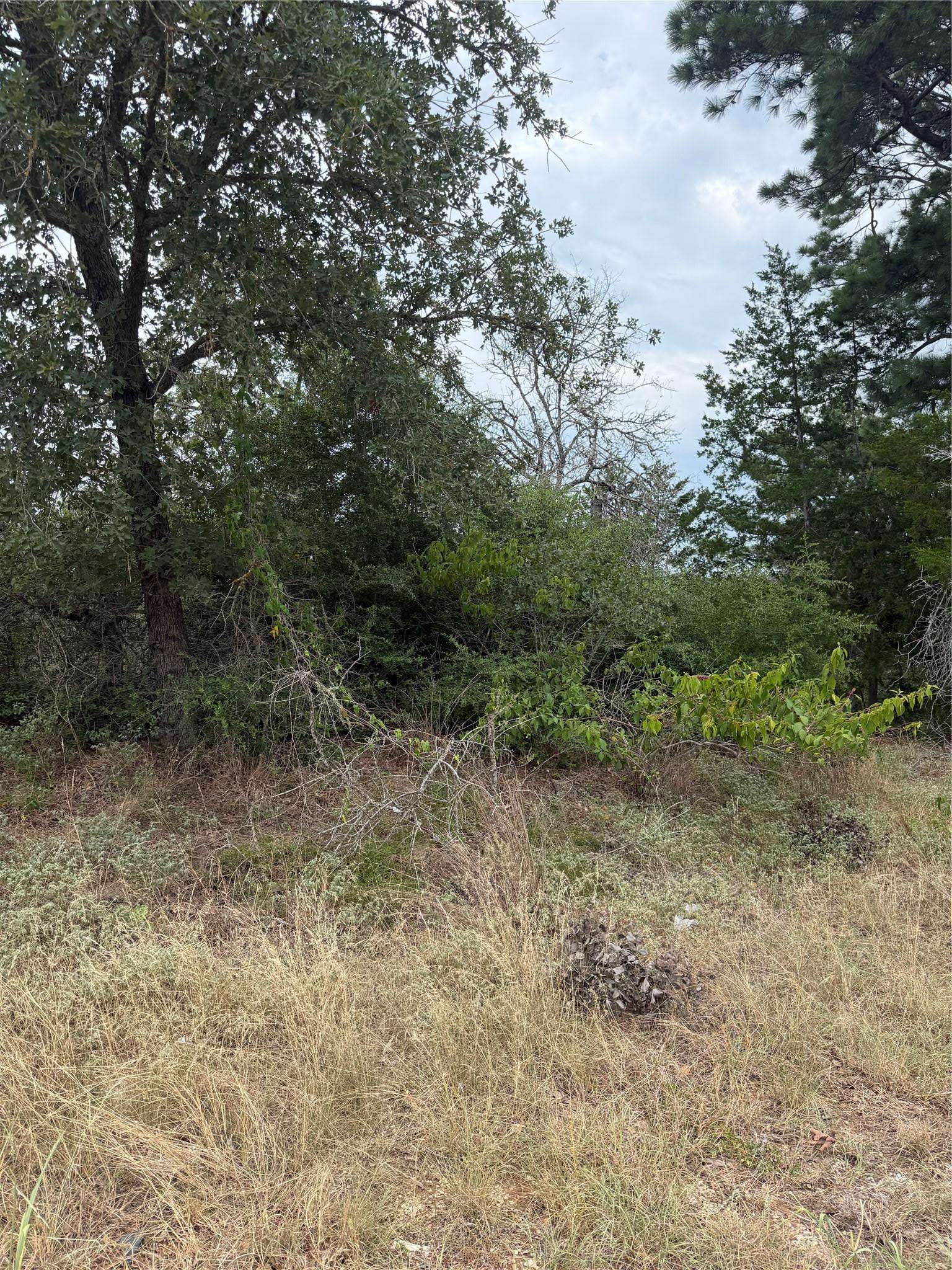 Lot 236 Kaelupulu DR, Bastrop, TX 78602