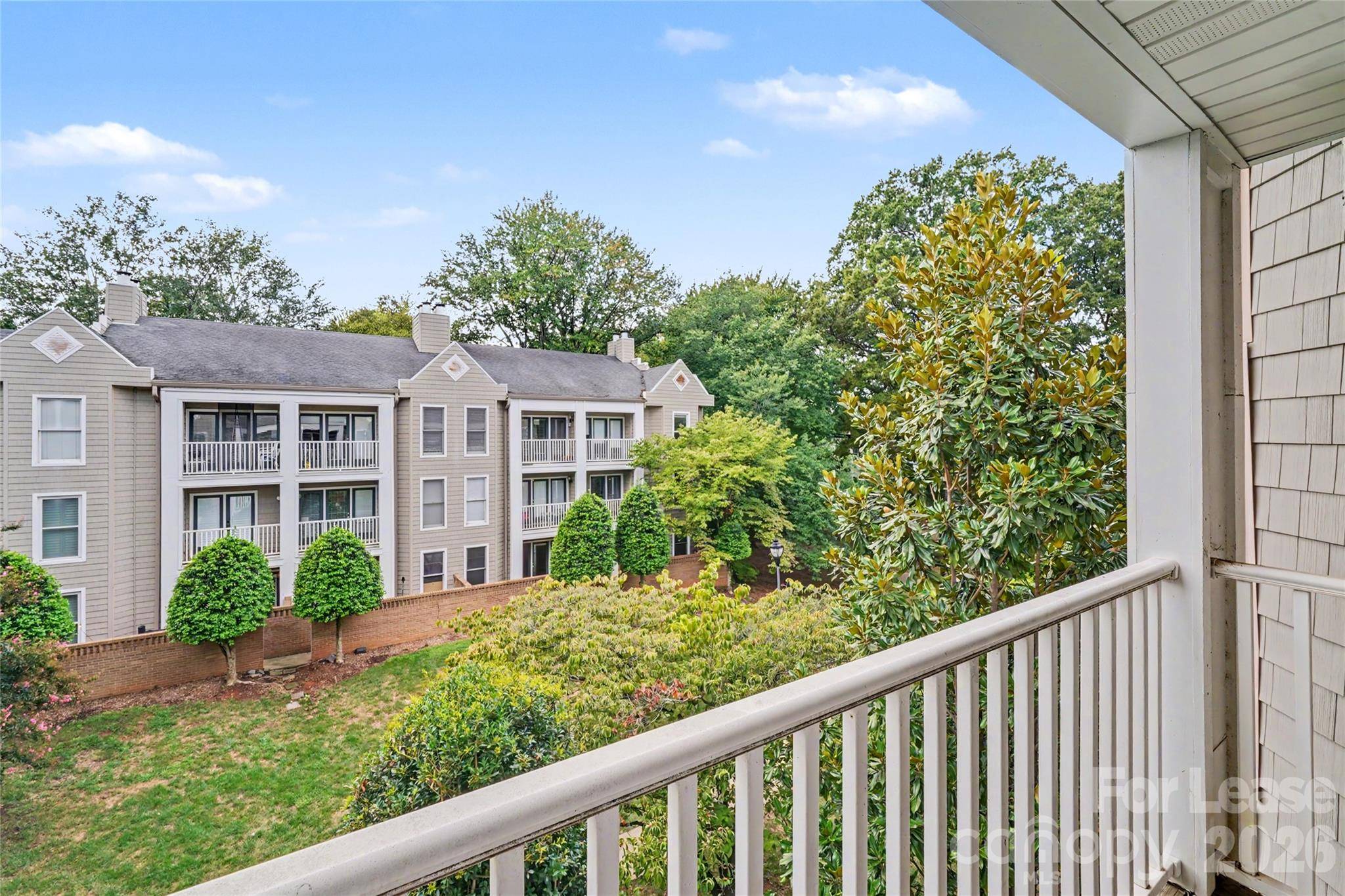 244 S Cedar ST #5, Charlotte, NC 28202