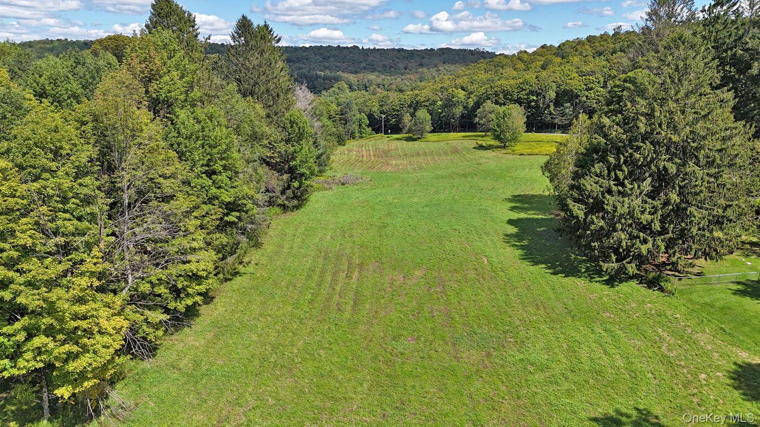 4011 Klondike RD, Hancock, NY 13783
