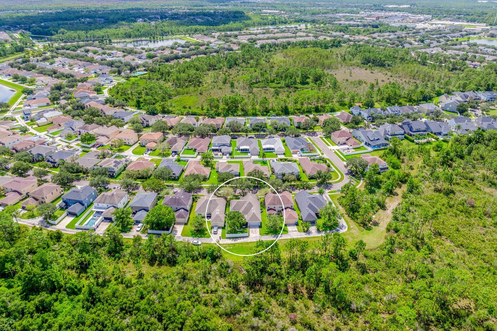 13625 PODOCARPUS LN, Orlando, FL 32828