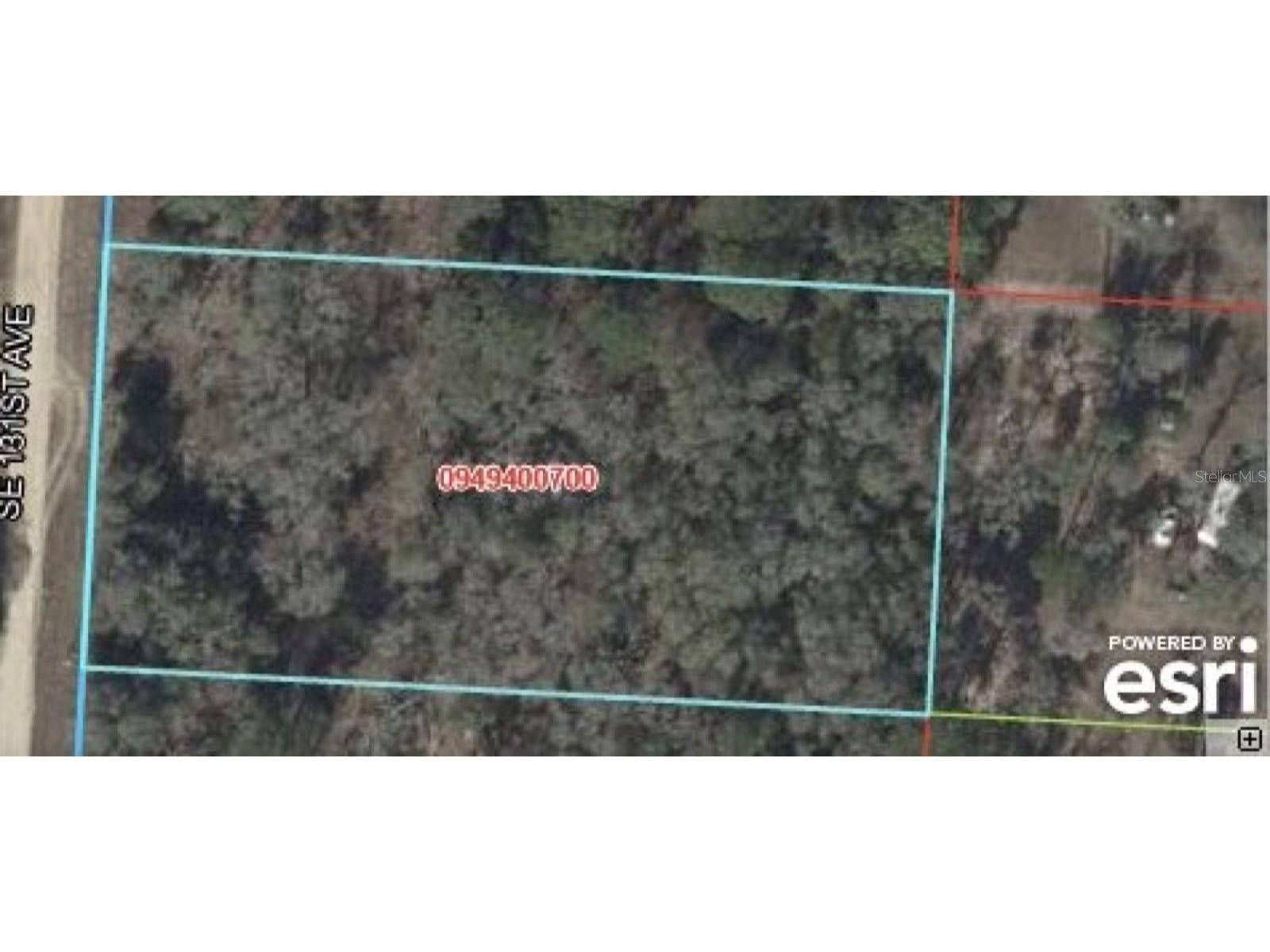 131, Morriston, FL 32668