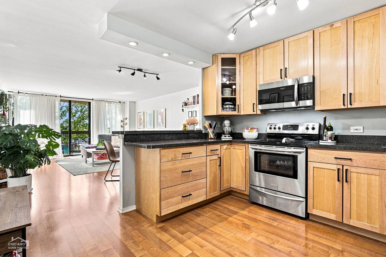 1660 N LaSalle DR #508, Chicago, IL 60614