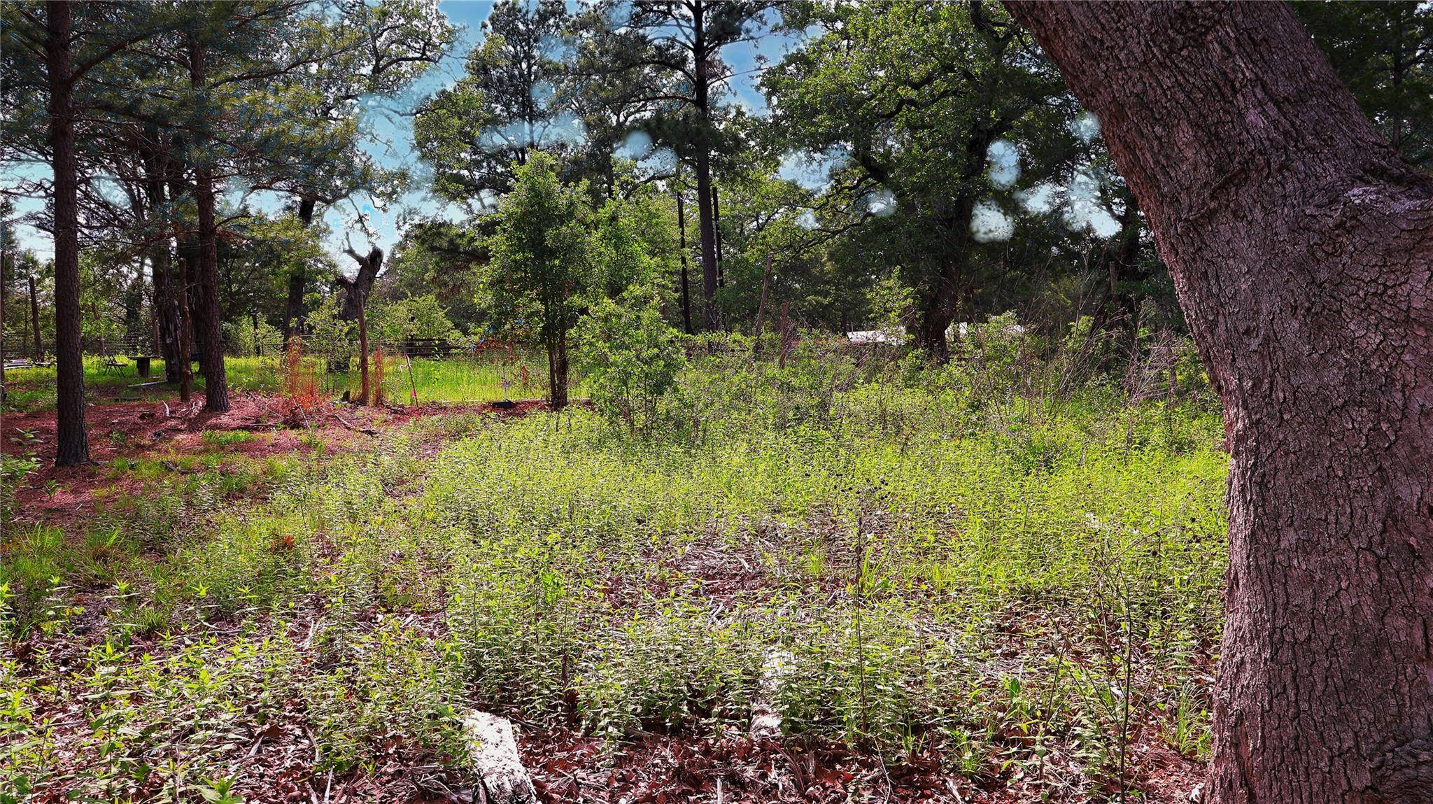 200 Cheyenne DR, Smithville, TX 78957