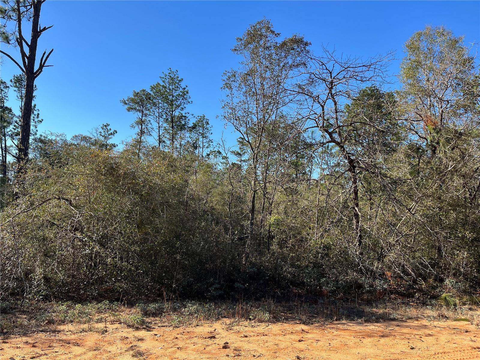 APALACHICOLA AVE, Alford, FL 32420