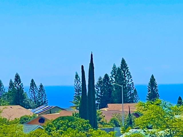 68-3562 AAKA PL, Waikoloa, HI 96738