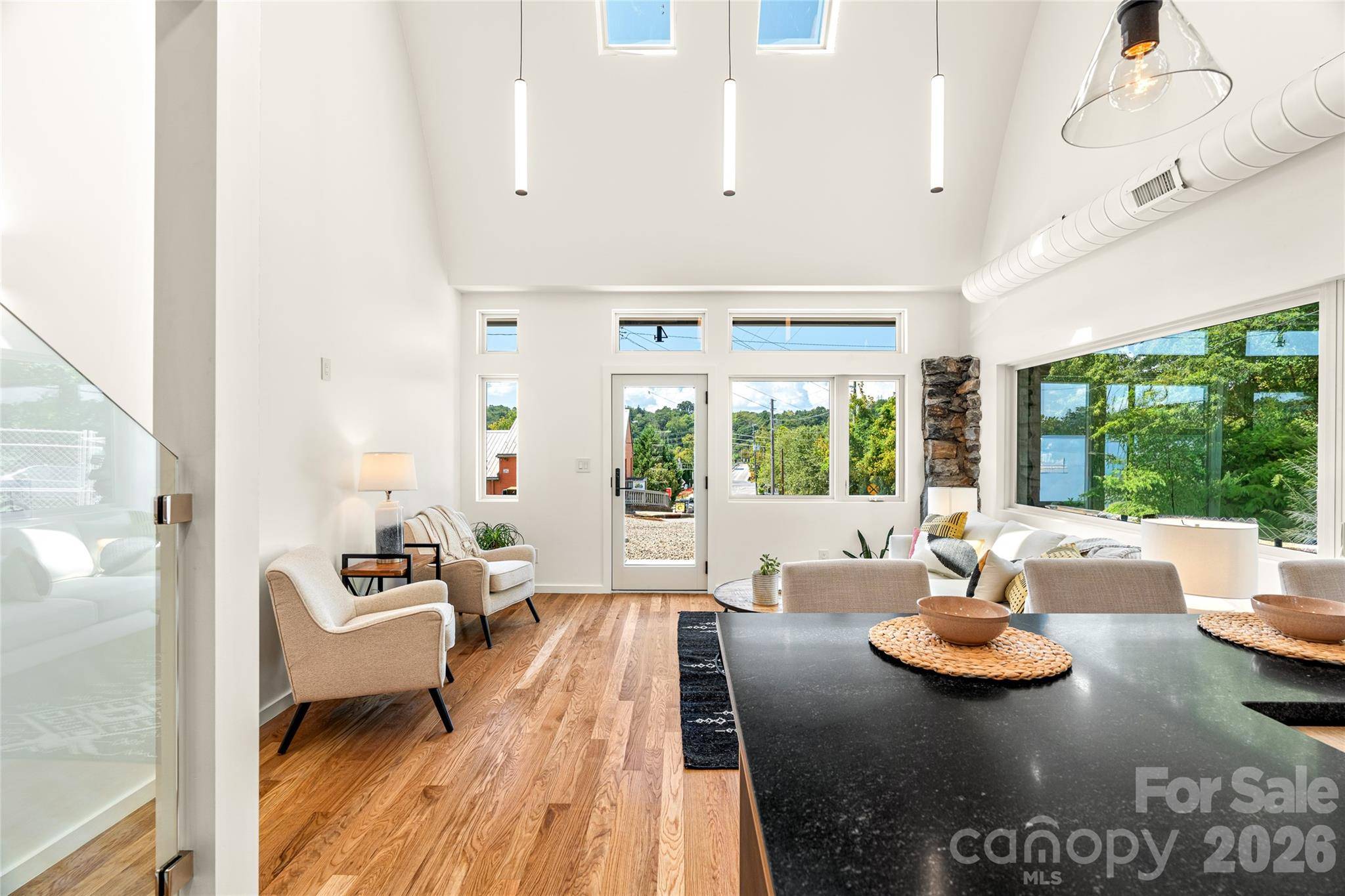 4 Roberts ST, Asheville, NC 28801