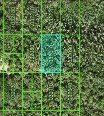 INACCESSIBLE TRACT, Kathleen, FL 33849