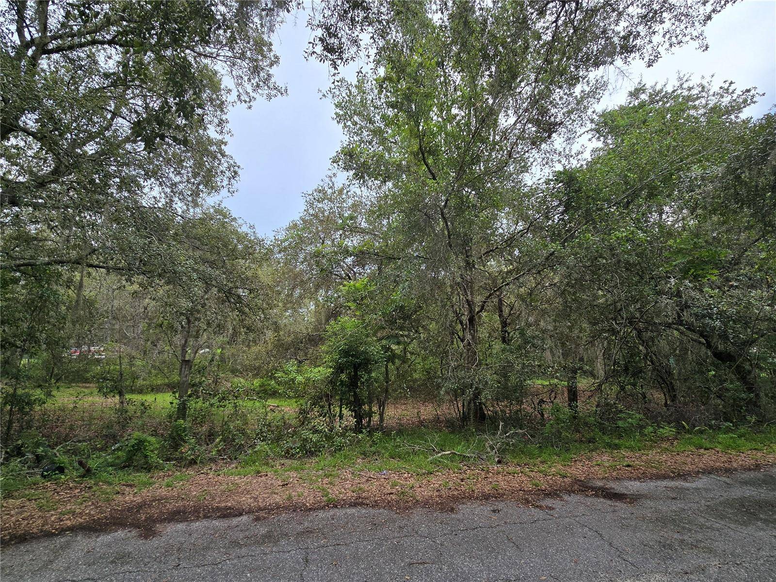 13311 MIDWAY AVE, Astatula, FL 34705