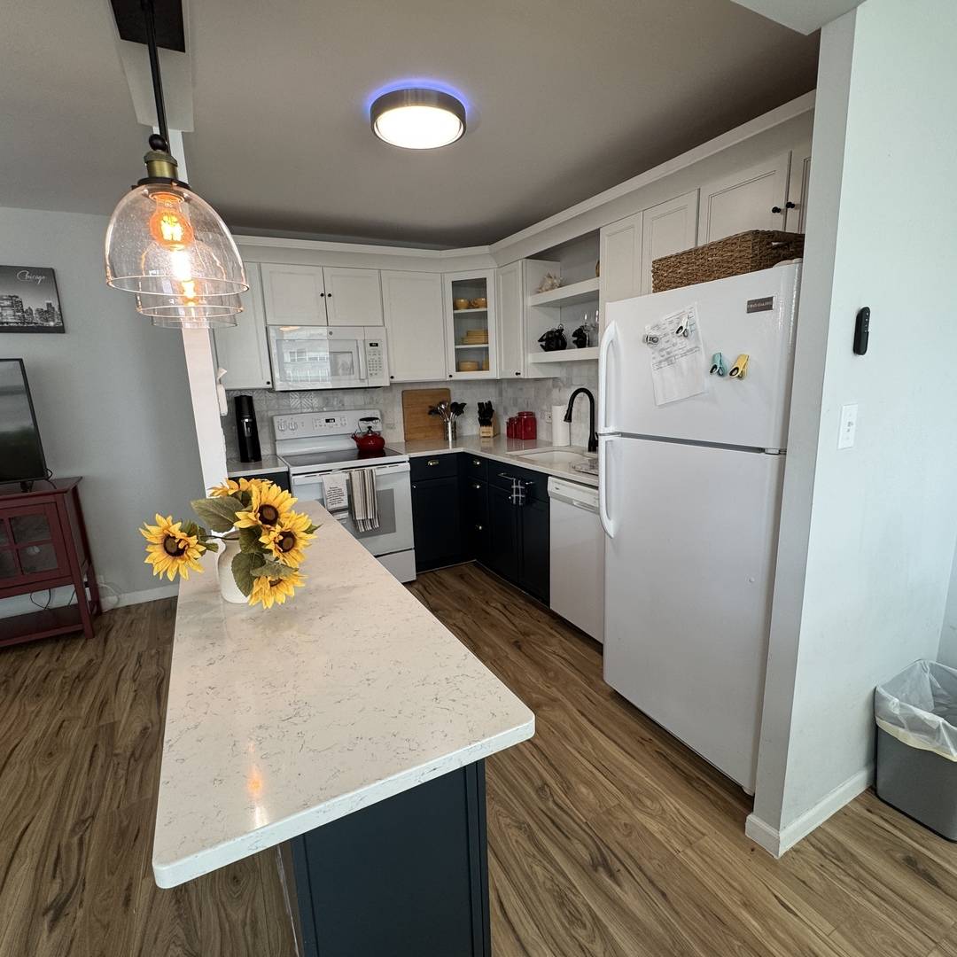 4800 S CHICAGO BEACH DR #1312N, Chicago, IL 60615