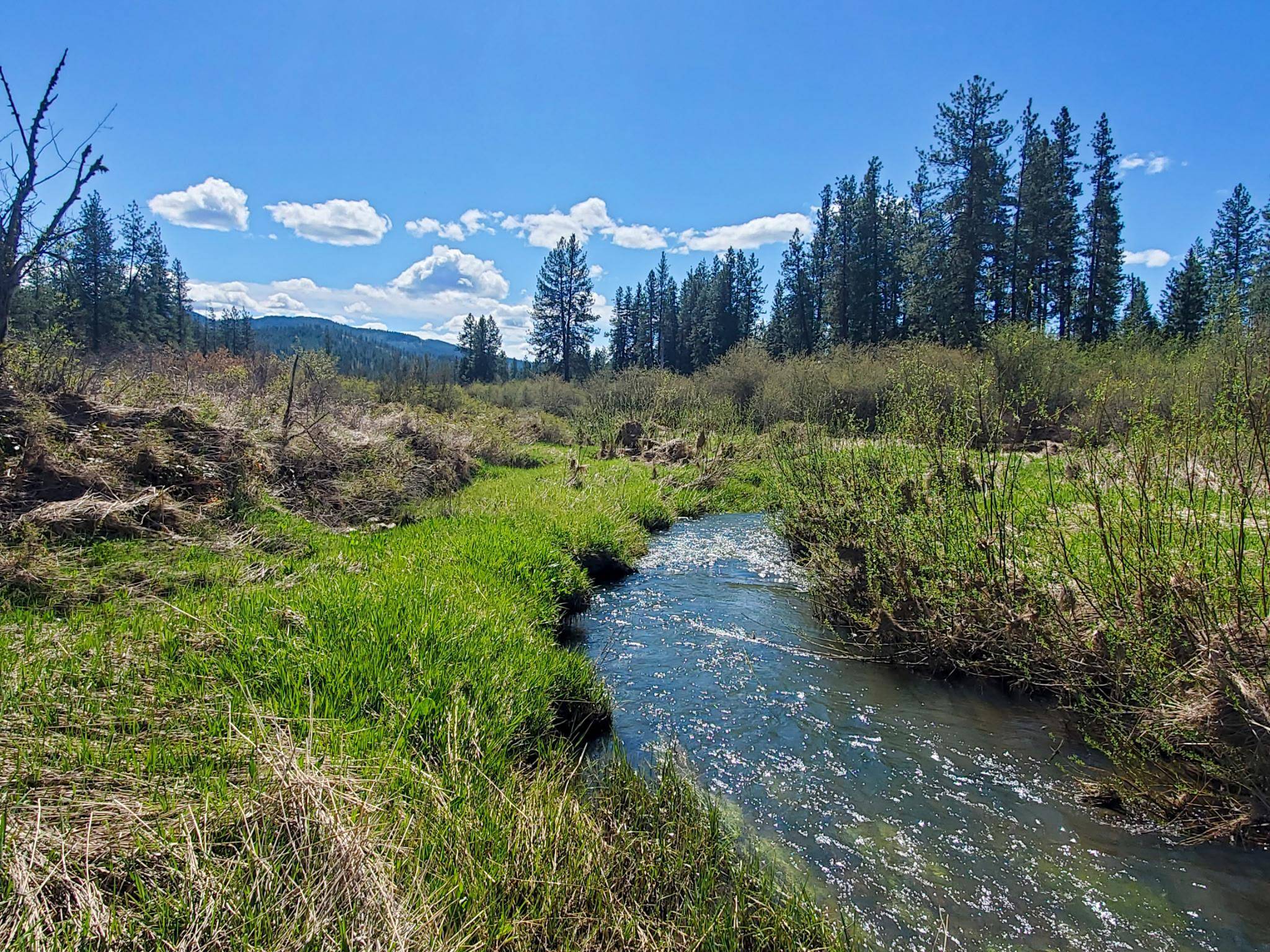 4396 E Highway 231 Hwy, Springdale, WA 99173